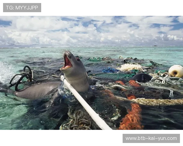 珊瑚礁式生态构建 促进赛事执行多元共生